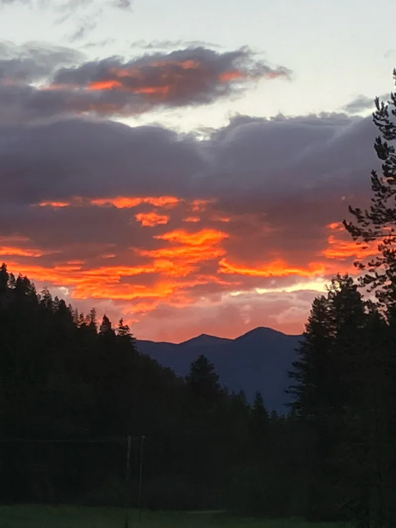 Views from a log home, Montana Luxury Log Cabin by Built Right in Montana